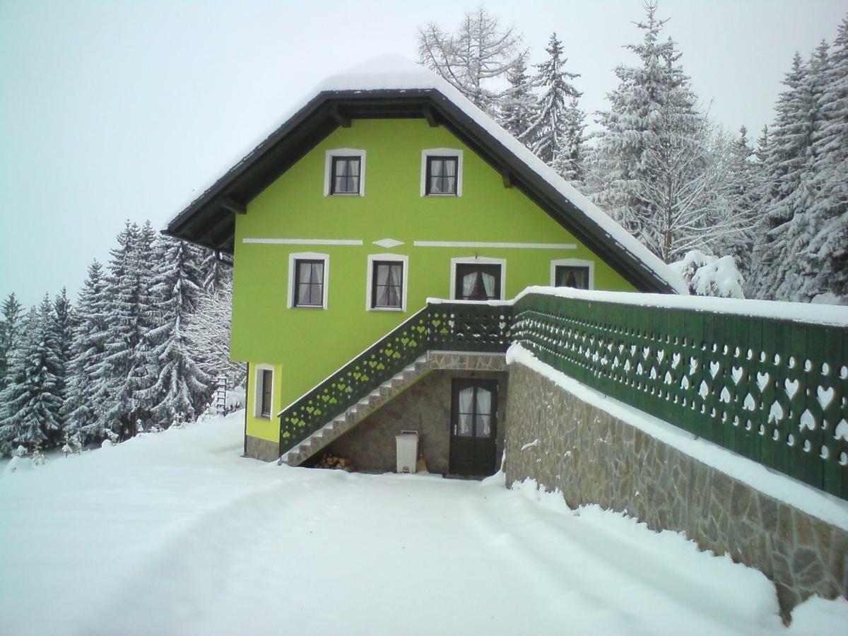 Apartment Sara Vitanje
